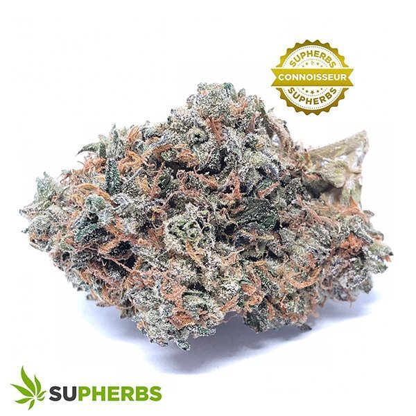 Runtz-Strain-Buy-Runtz-Strain-online-in-canada-at-supherbs.jpg