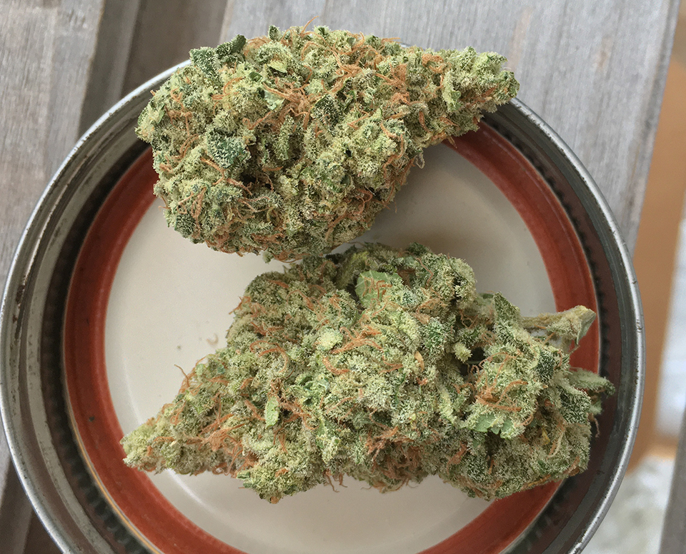 Glueberry OG 1