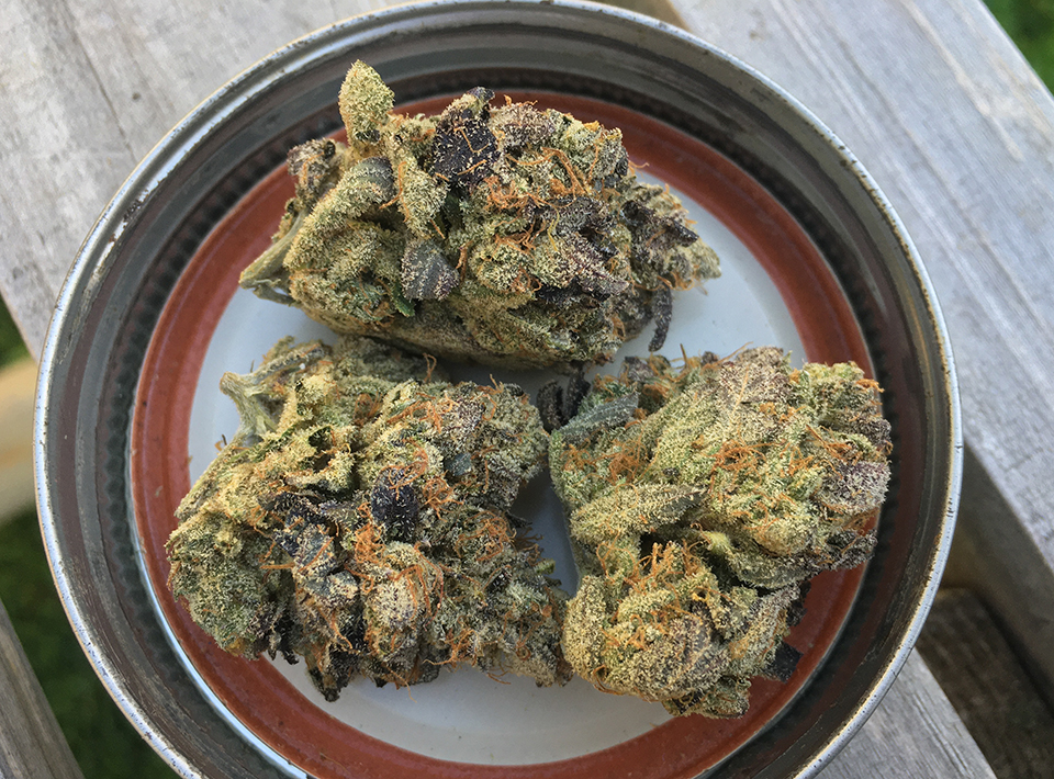 Rockstar OG 1