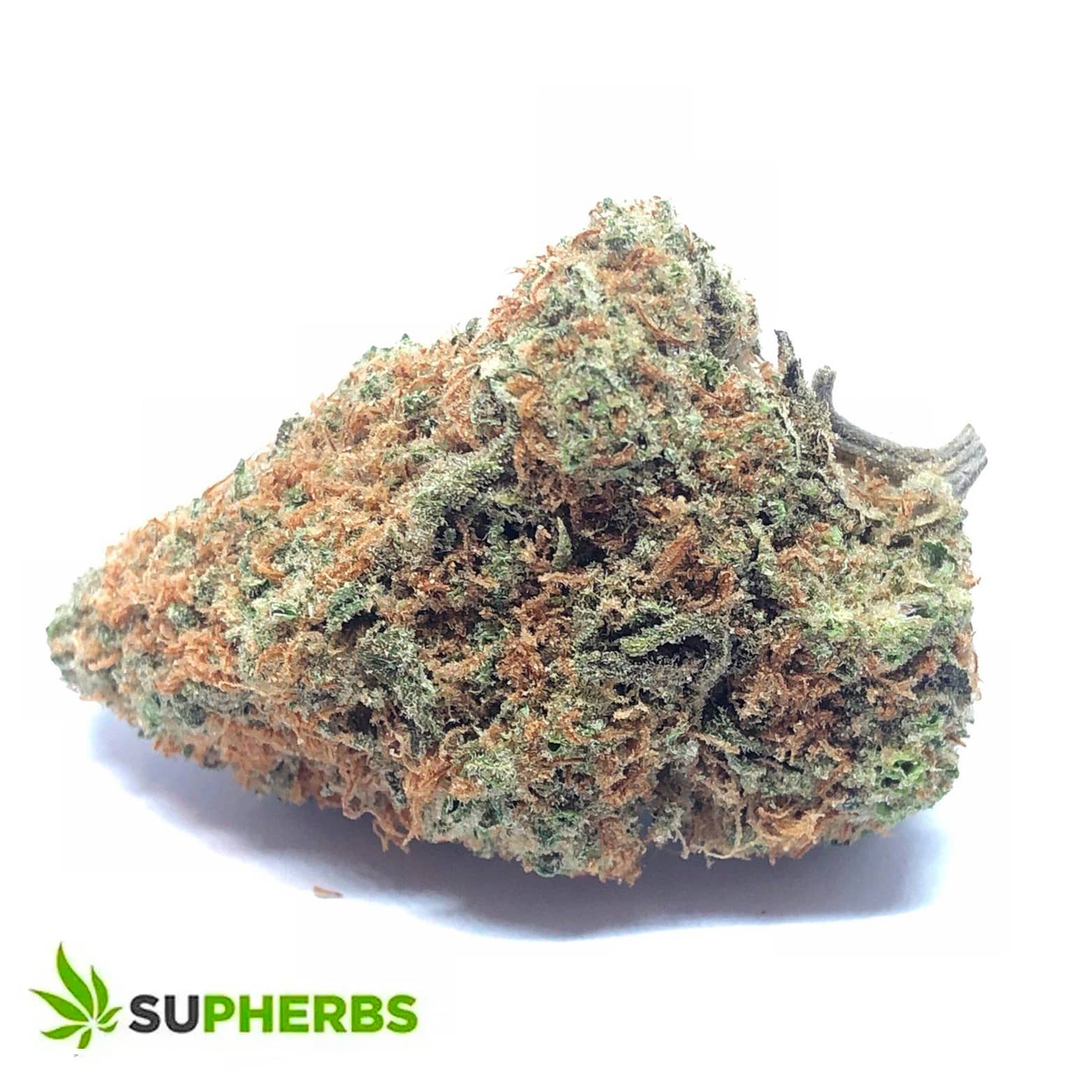 Moby-Dick-Strain-Buy-moby-dick-strain-in-canada-at-supherbs.jpg
