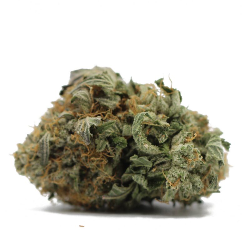 Master-Kush-5-e1607624314770-800x800.jpg