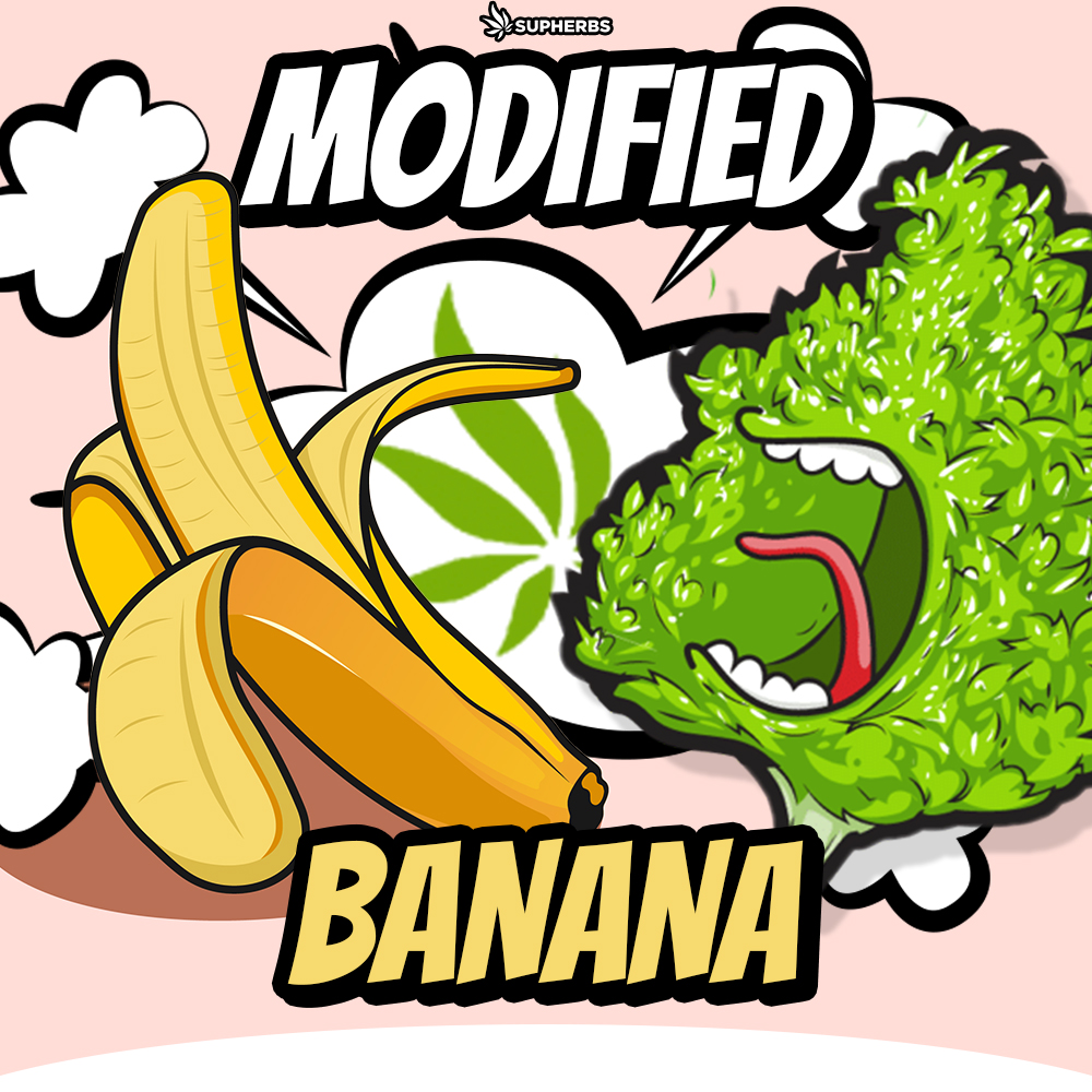 MODIFIED-BANANA.jpg