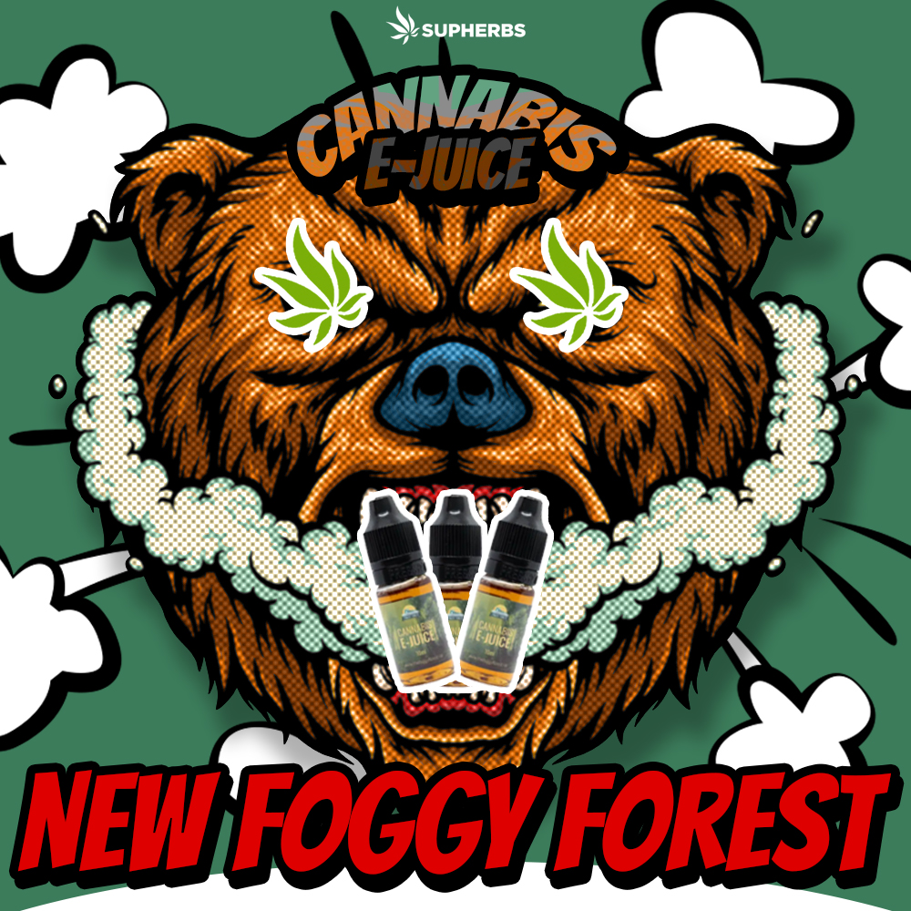 NEW-FOGGY-FOREST.jpg