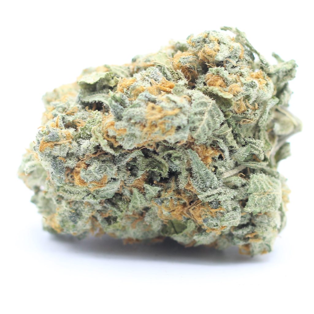 Pink-Kush-CC-1-1024x1024.jpg