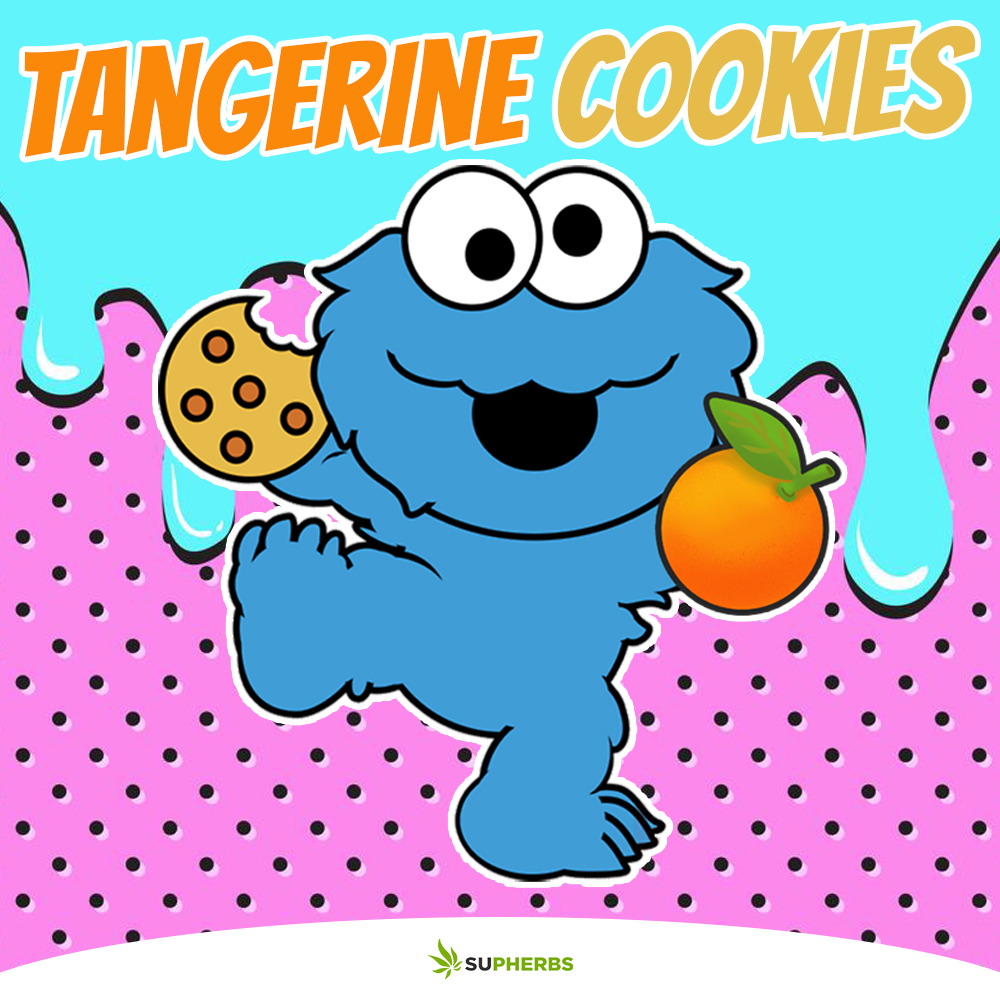 Tangerine-Cookies.jpg