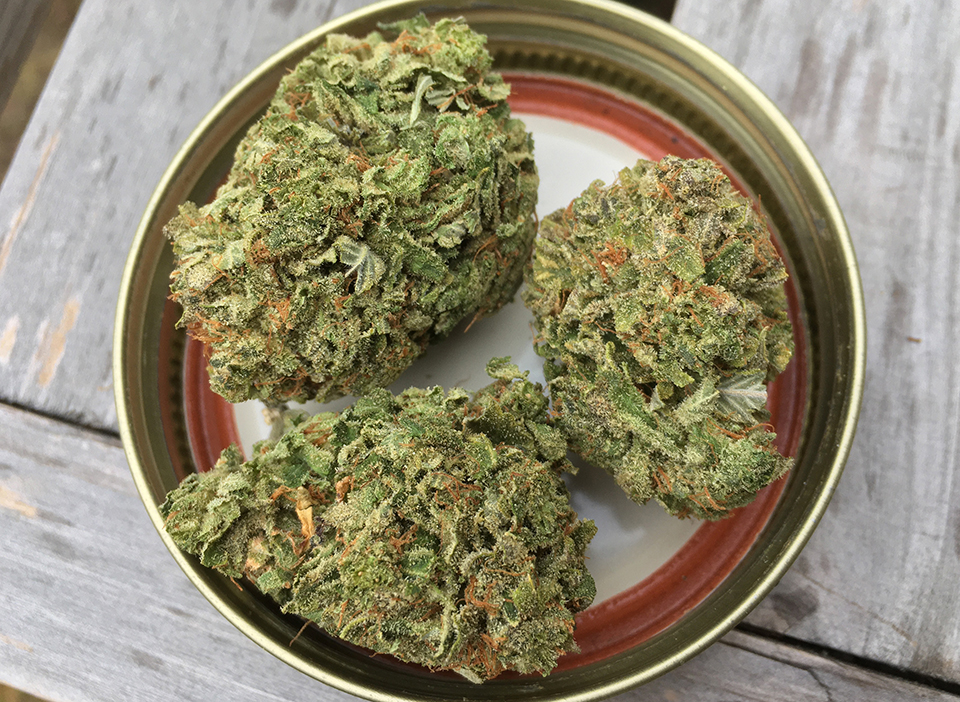 Super Lemon Haze 1