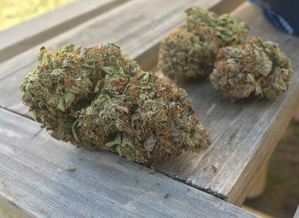 Death Bubba 2