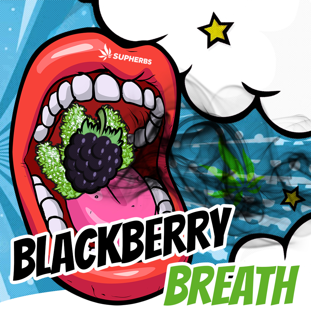 Blackberry-Breath.jpg