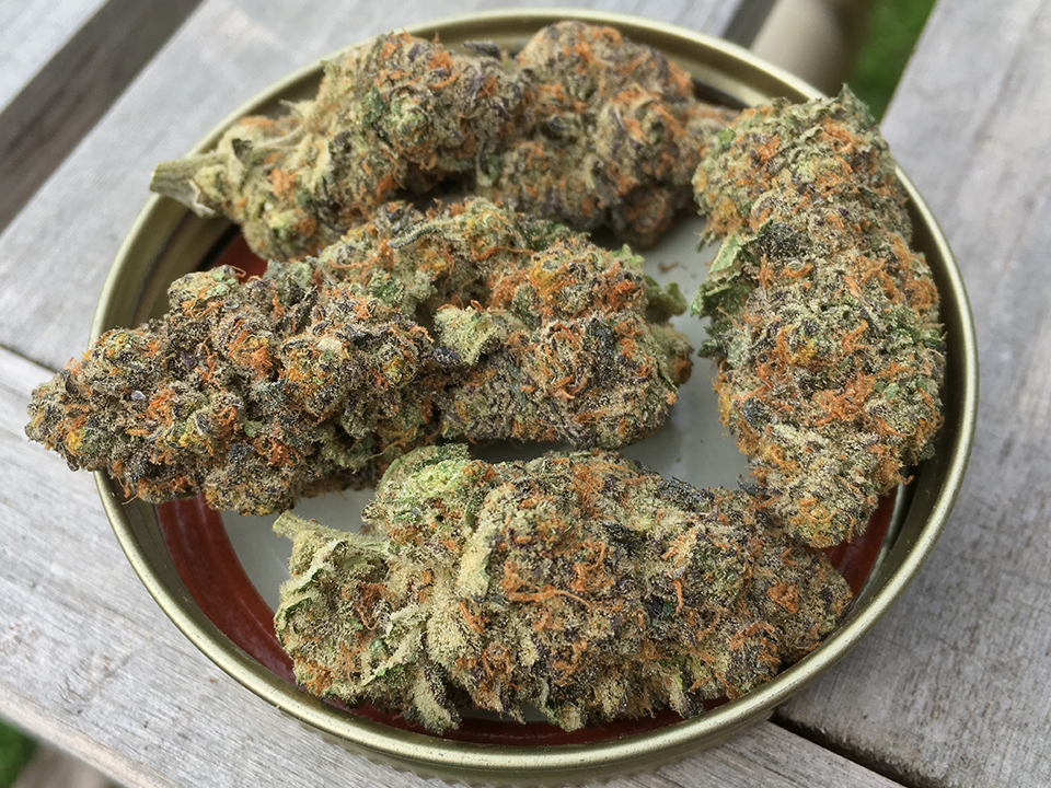 Peanut Butter Breath 1