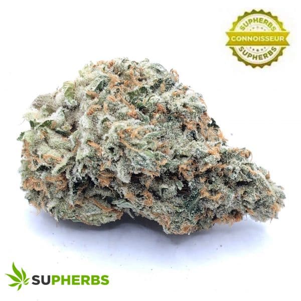 SUPHERBS-FLORIDA-SUNDAE-STRAIN-600x600.jpg