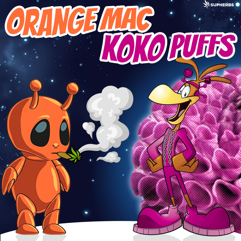 SUPHERBS-ORANGE-MAC-KOKO-PUFFS.jpg