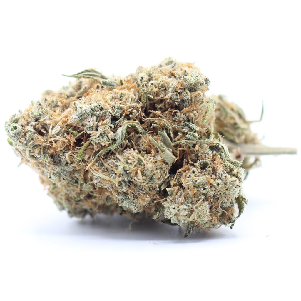 Lemon-Haze-3-1024x1024.jpg