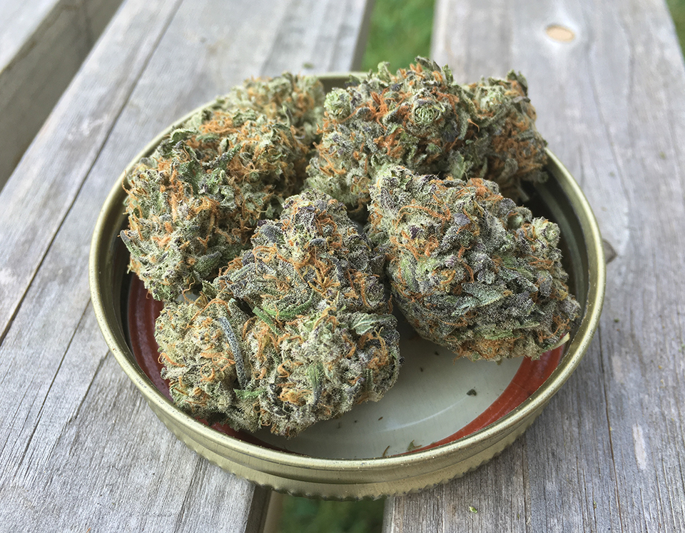 Purple Space Cookies 1