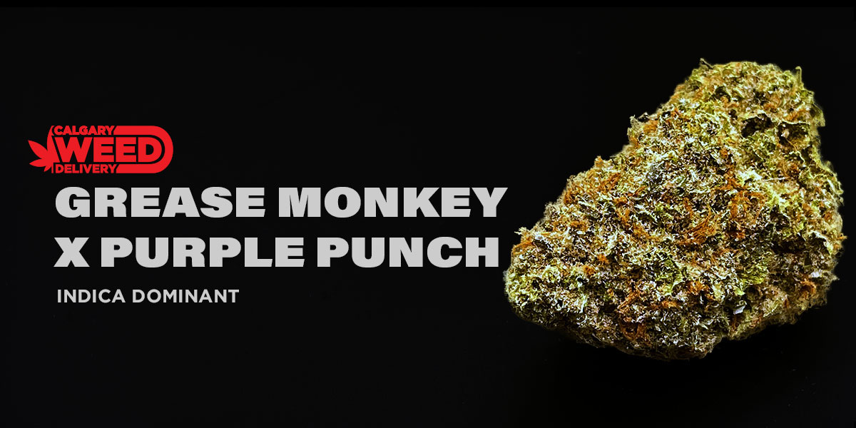 CWD-GREASE-MONKEY-X-PURPLE-PUNCH.jpg