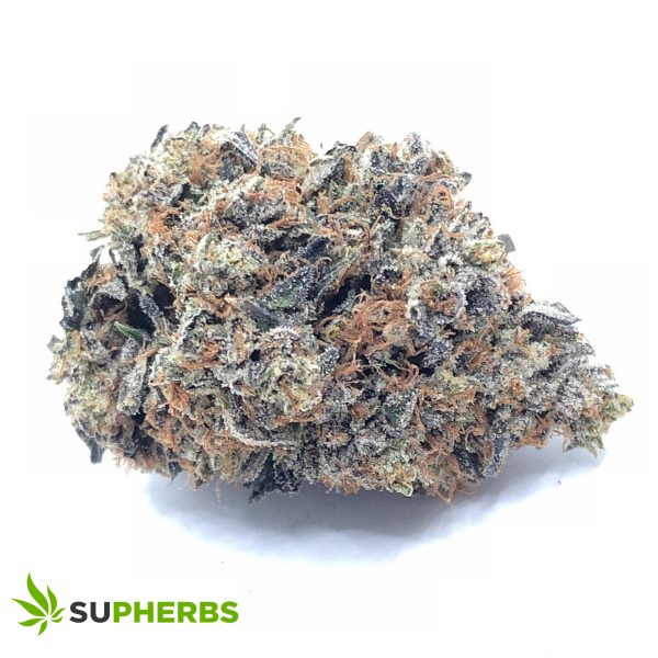 Purple-God-Strain-600x600.jpg