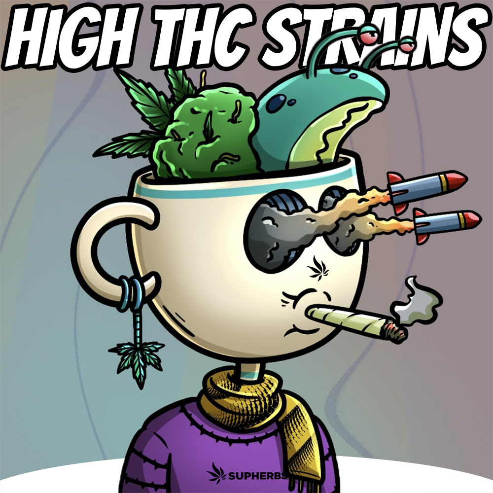 SUPHERBS-HIGH-THC-STRAINS.jpg