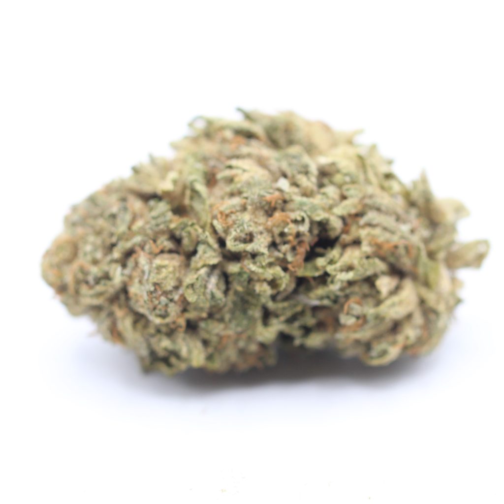 Master-Kush-2-1024x1024.jpg