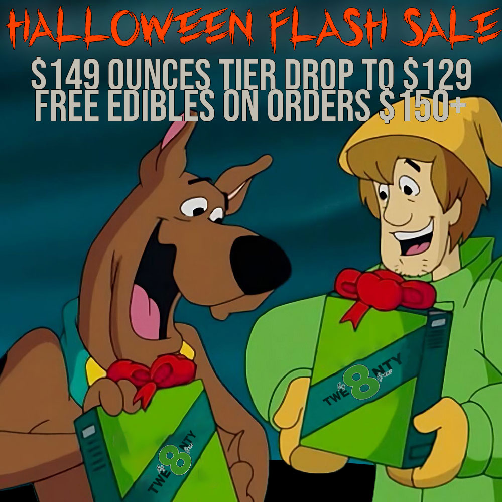 MY28-HALLOWEEN-FLASH-SALE.jpg