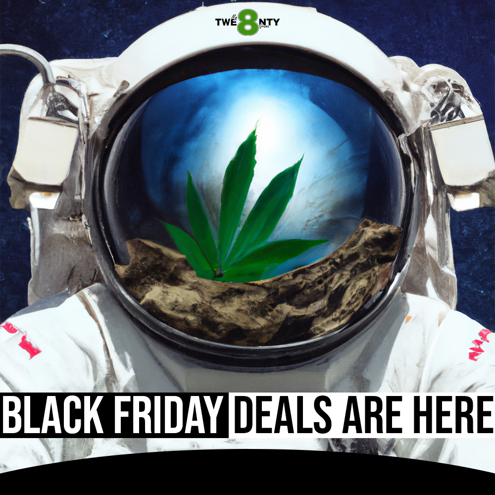 MY28-BLACK-FRIDAY-DEALS-ARE-HERE.jpg