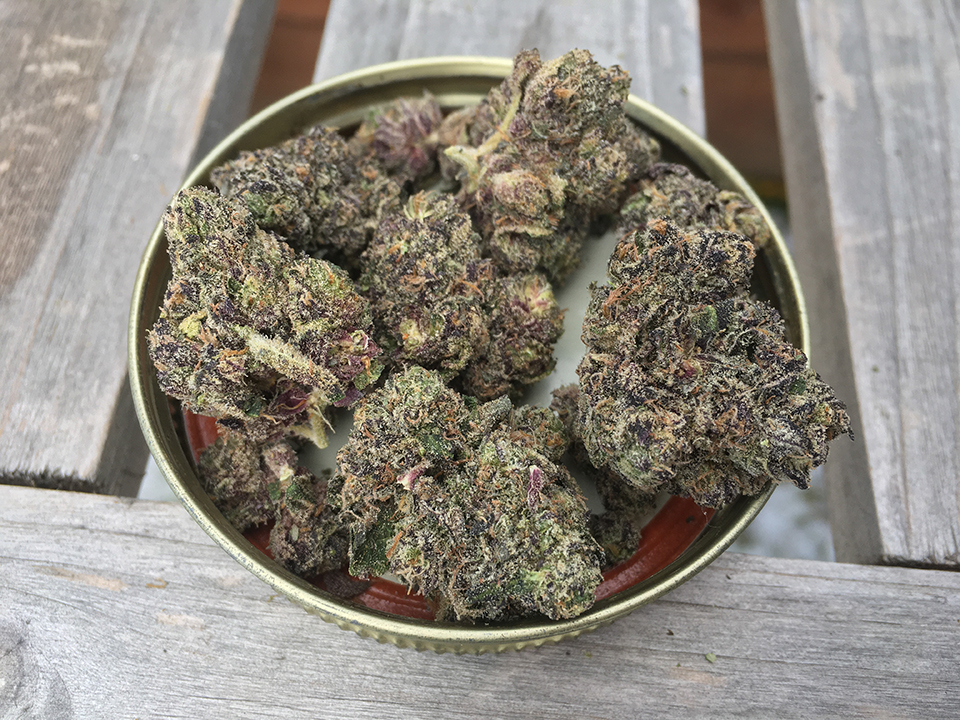 Jet Fuel Gelato 1