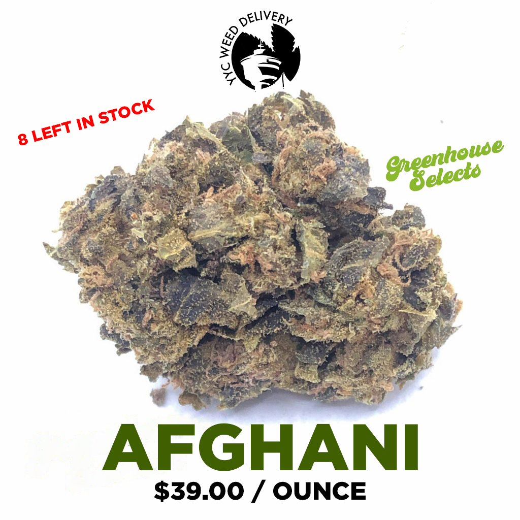 YYC-GREENHOUSE-AFGHANI.jpg