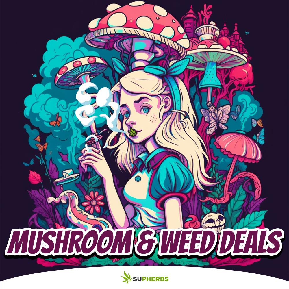 SUPHERBS-MUSHROOM-&-WEED-DEALS2.jpg