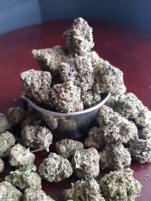 PinkKush2Quadco334763105_596655402328323_5402313332703712135_n.jpg