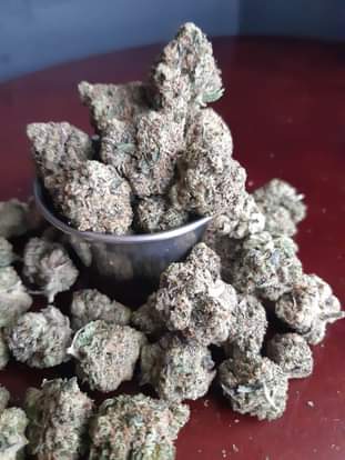 PinkKushQuadco333059082_750974713360732_5420707205795384618_n.jpg