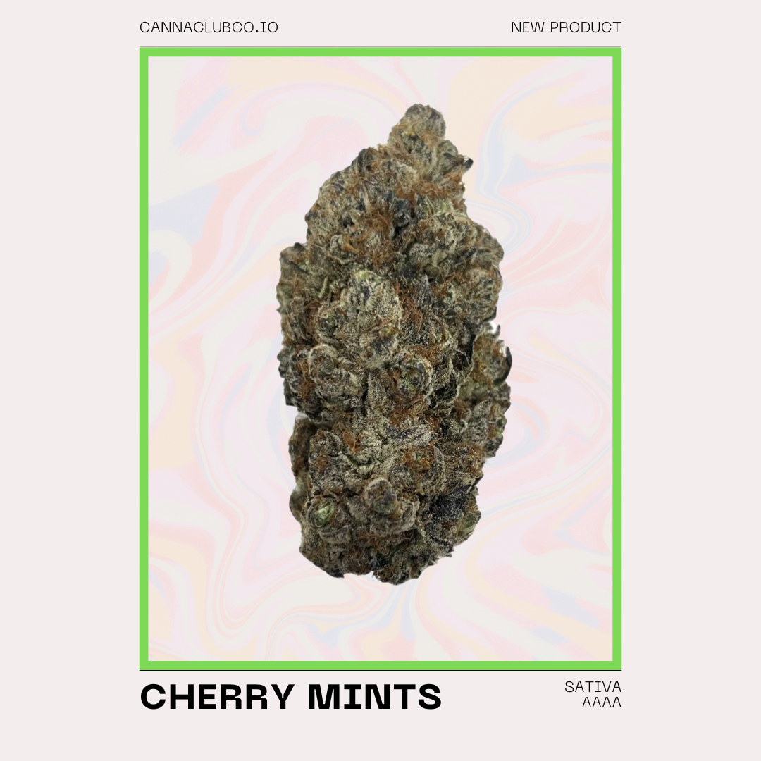 CHERRY MINTS.png