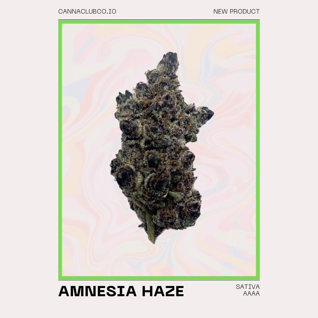 AMNESIA HAZE.jpg