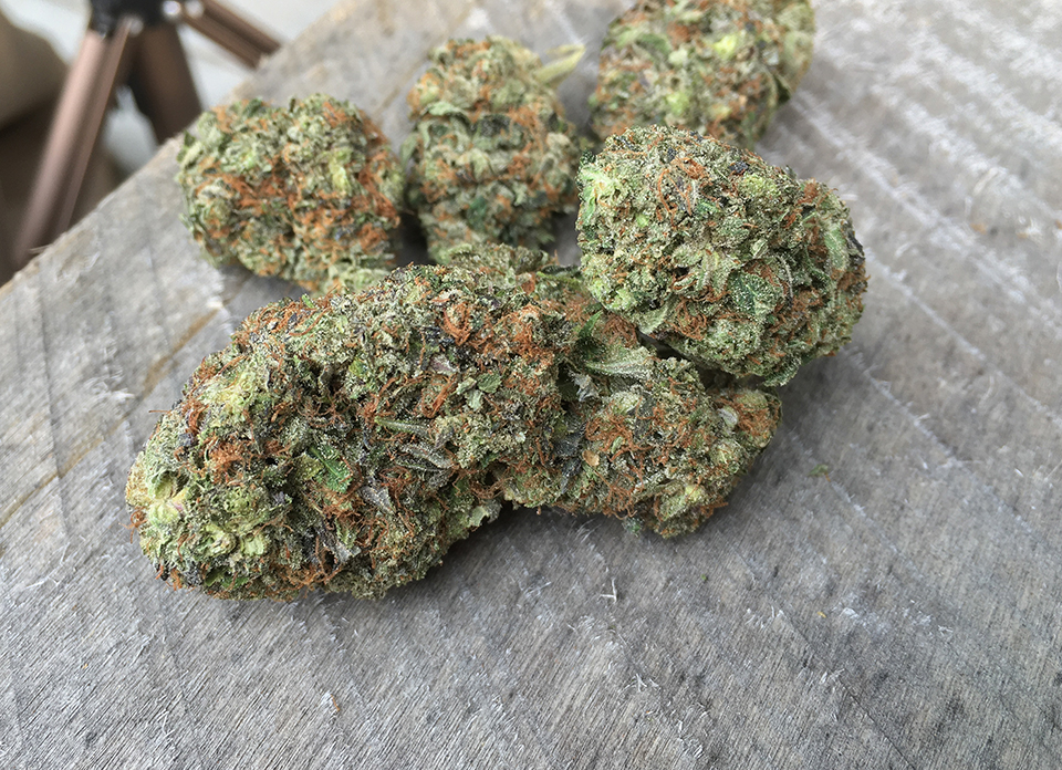 Coco Kush 2