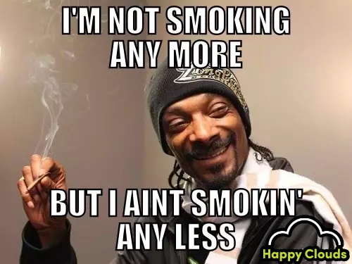 Snoop meme.jpg
