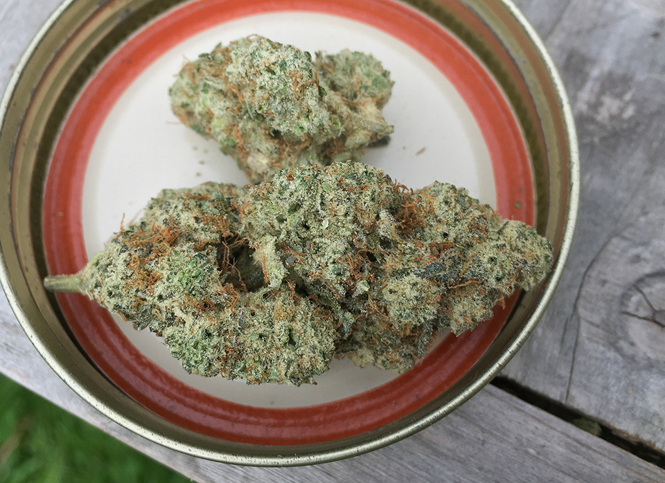 Gorilla Butter 1