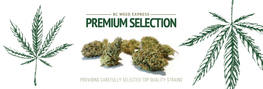 providing-top-quality-strain-banner-01-1024x349.png