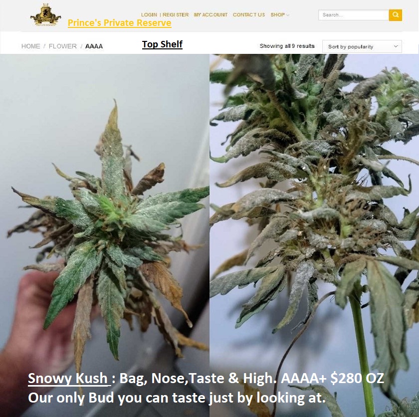 white-powdery-mildew-kill-cannabis-buds.jpg